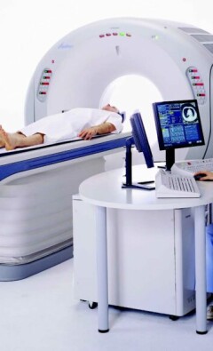 Нефила: величественные ткачихи с необычными способностями