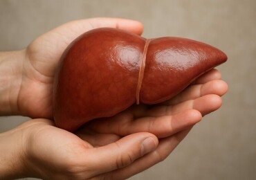 Восстановить печень: практическое руководство, которое действительно работает