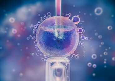 Стоимость ЭКО: что важно знать перед процедурой