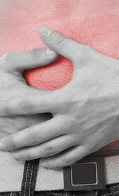 Сколько весит лев: величественный царственный хищник