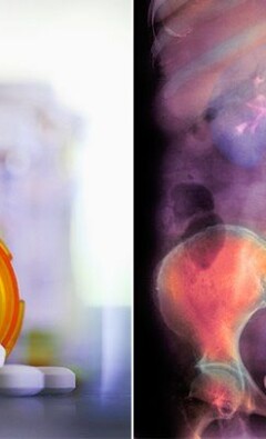 Волки: загадочные хищники лесов и тайги