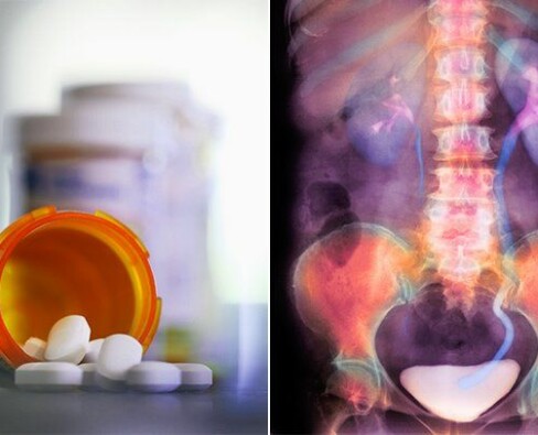 Волки: загадочные хищники лесов и тайги