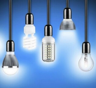 Поганки: Загадочные птицы водоемов