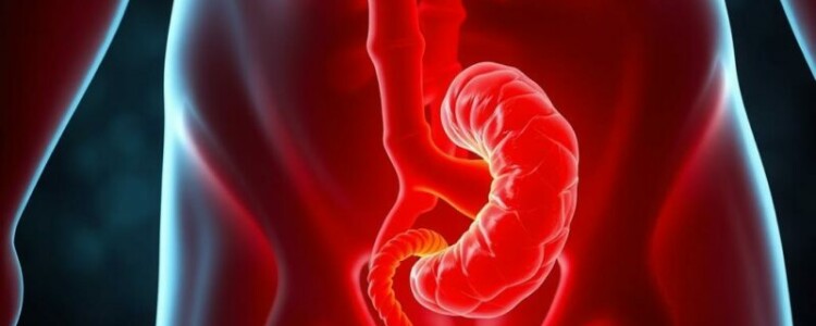 La génétique de l’appendicitis: por qué algunos cuerpos reaccionan distinto