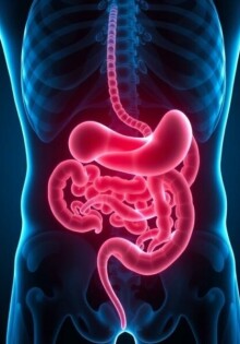 Cuando el ruido del cuerpo no se apaga: el miedo al dolor abdominal recurrente después de una apendicectomía