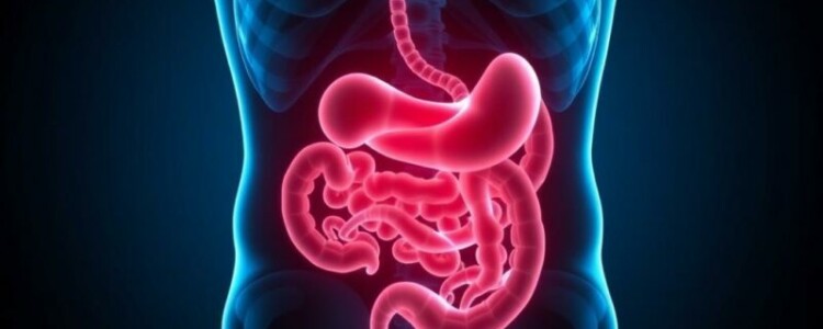 Cuando el ruido del cuerpo no se apaga: el miedo al dolor abdominal recurrente después de una apendicectomía