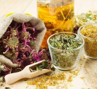 Применение трав от геморроя: полезные свойства, рецепты