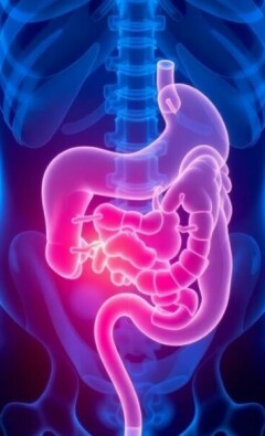 Fieber als Symptom der Appendizitis: Ein lebensrettender Indikator erkennen