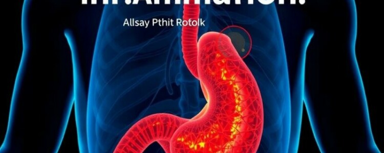 Die Pathophysiologie der Entzündung: Von der Obstruktion zur Perforation — Un viaje desde la obstrucción hasta la ruptura