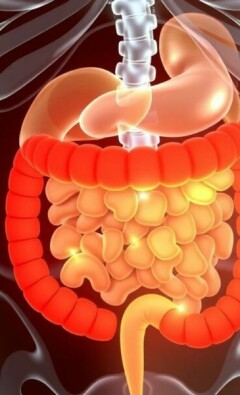 Appendicitis and Autoimmune Diseases: Exploring the Complex Connection