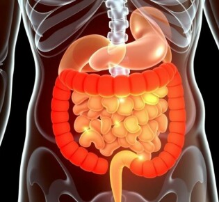 Appendicitis and Autoimmune Diseases: Exploring the Complex Connection