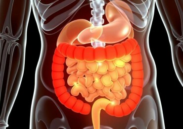 Appendicitis and Autoimmune Diseases: Exploring the Complex Connection