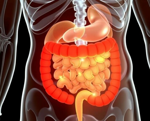 Appendicitis and Autoimmune Diseases: Exploring the Complex Connection