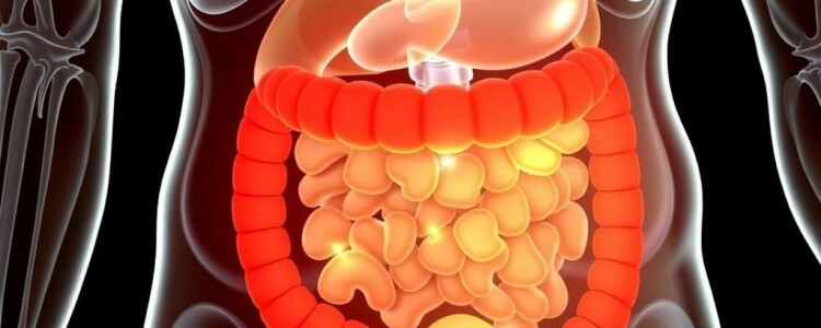 Appendicitis and Autoimmune Diseases: Exploring the Complex Connection