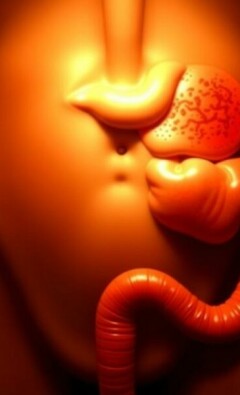 La progresión de los síntomas desde la apendicitis temprana hasta la apendicitis perforada: qué esperar, cuándo preocuparse y cómo actuar