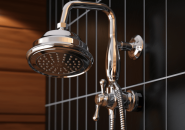 Выгоды и удобства использования смесителей с гигиеническим душем