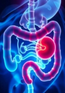 Understanding Appendicitis in Transplant Patients: Challenges, Diagnosis, and Treatment