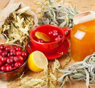 Игрунки: Очаровательные крошки с невероятной энергетикой