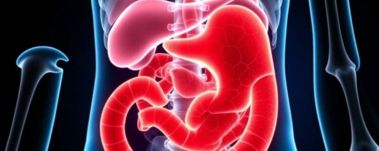 Cáncer de apéndice: una enfermedad rara pero seria que merece tu atención