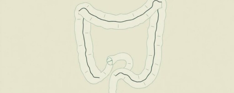 El apéndice: ¿un vestigio inútil o un héroe escondido del intestino?