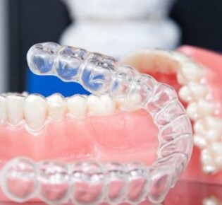 Черные лебеди: загадочные создания, окутанные мифами