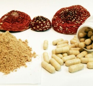 Микродозинг мухомора и его воздействие на сознание