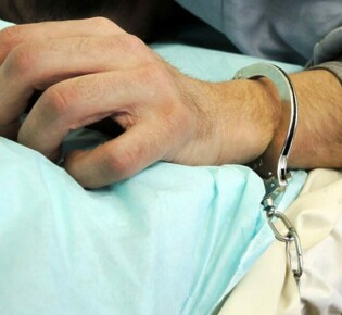 Кашалот: гигант океанов, о котором мало кто знает