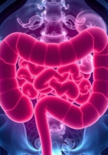CRP-Wert bei Verdacht auf Appendizitis: Ein entscheidender Diagnosefaktor