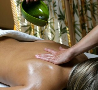 Чайка с черной головой: удивительный мир пернатого хищника