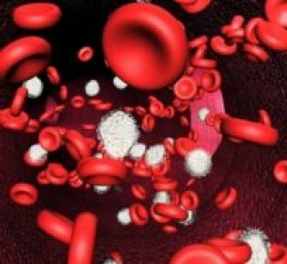 Как гастрит вызывает злокачественную анемию?