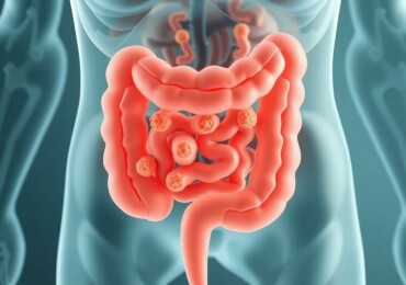 El papel de los probióticos en la salud intestinal: una conversación honesta sobre bacterias que nos benefician