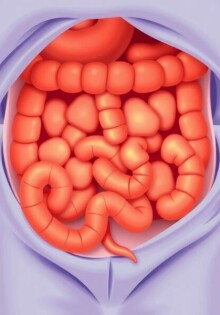 Apendicitis en el niño: claves epidemiológicas y matices clínicos que cambian la historia