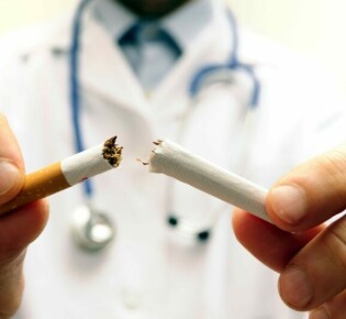 Сказка о котенке: Путешествие в мир пушистых чудес