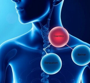 Спазмолитики: как работают и почему мы их так часто принимаем