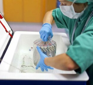 Проблемы трансплантологии: вызовы и перспективы