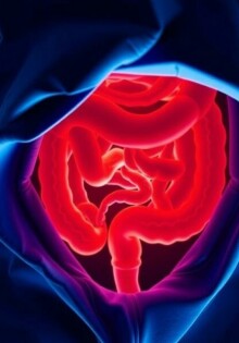 Appendicite et Infection : Comprendre les Risques et la Prise en Charge