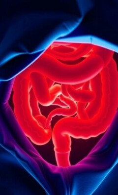 Appendicite et Infection : Comprendre les Risques et la Prise en Charge