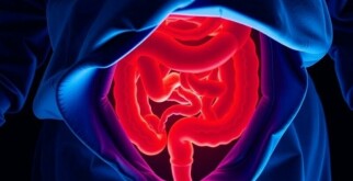 Appendicite et Infection : Comprendre les Risques et la Prise en Charge