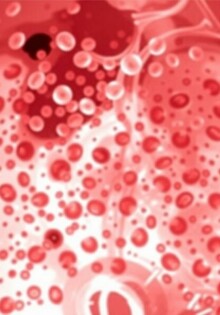 Leukozyten bei Blinddarmentzündung: Wichtiger Laborwert für Diagnose und Behandlung