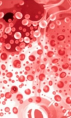 Leukozyten bei Blinddarmentzündung: Wichtiger Laborwert für Diagnose und Behandlung