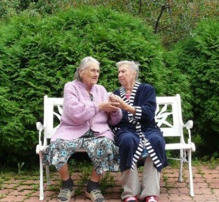 Удивительный мир млекопитающих: незабываемое путешествие по видам