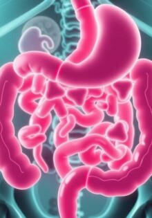 Appendicite et Microbiote Intestinal : Un Lien Possible ?