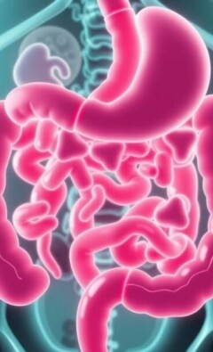 Appendicite et Microbiote Intestinal : Un Lien Possible ?