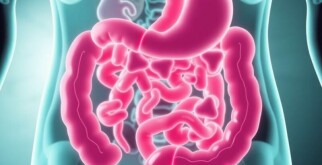 Appendicite et Microbiote Intestinal : Un Lien Possible ?