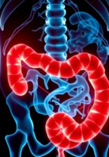 Rezidivierende Appendizitis: Kann sie wiederkommen?