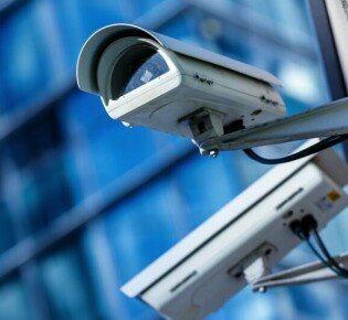 Дикие козы: тайны и особенности удивительных горных обитателей