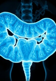 Karzinoid des Appendix: Eine seltene Tumorform im Fokus