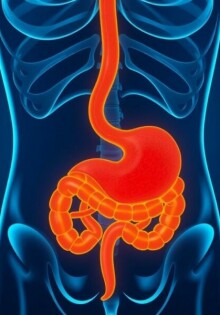 ¿Puede lo que comes evitarte una visita al quirófano? La dieta y su posible influencia en la apendicitis
