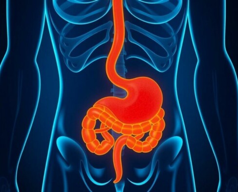 ¿Puede lo que comes evitarte una visita al quirófano? La dieta y su posible influencia en la apendicitis