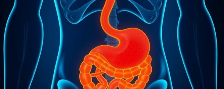 ¿Puede lo que comes evitarte una visita al quirófano? La dieta y su posible influencia en la apendicitis